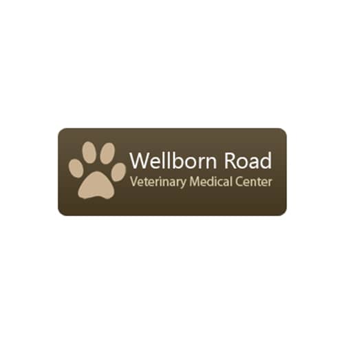 Dental Care Hospital Services All Pets Veterinary Medical Center