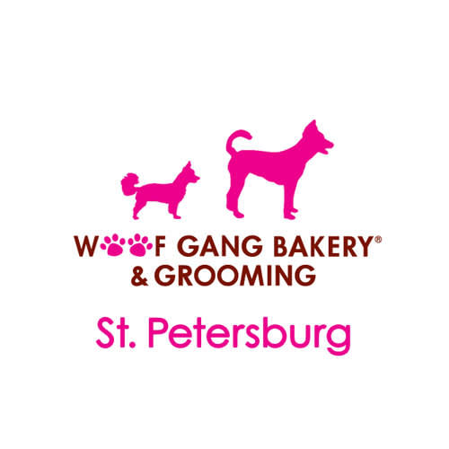 15 Best St Petersburg Dog Groomers Expertise Com