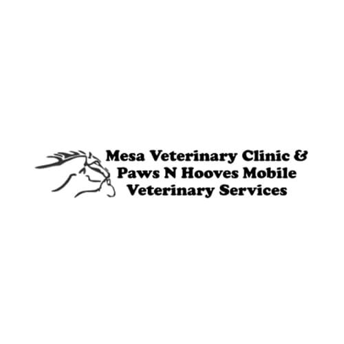 el paso vet clinic