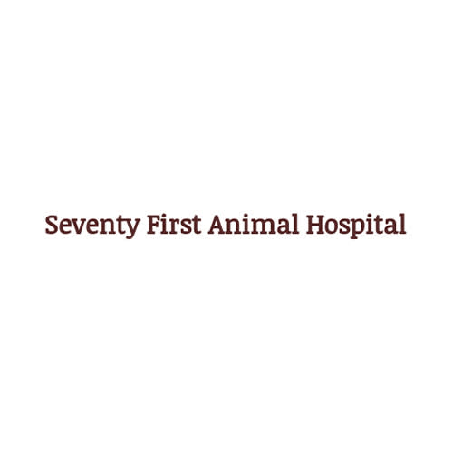 9 Best Fayetteville Veterinarians Expertise Com