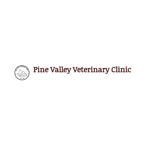 payment policy options parrett veterinary clinic on fort wayne emergency veterinary hospital