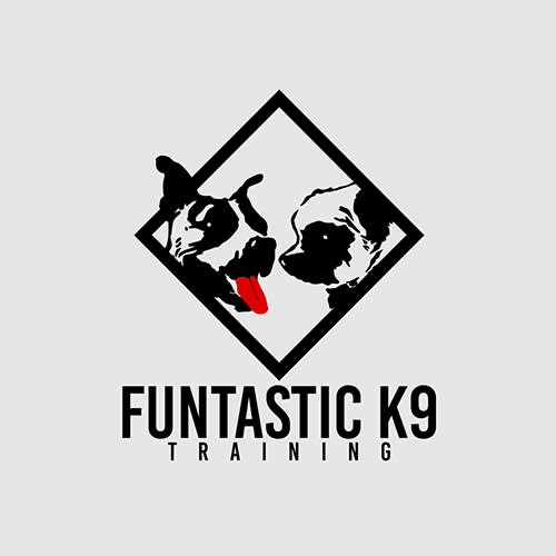 funtastic k9 training