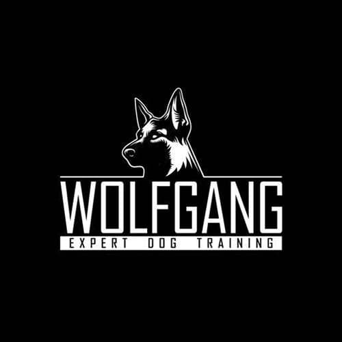 6 Best El Segundo Dog Training Classes Expertise Com 6 Best El Segundo Dog Training Classes Expertise Com