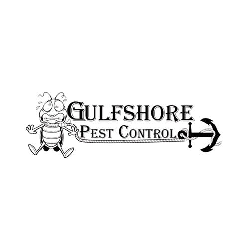 24 Best St Petersburg Pest Control Companies Expertise Com