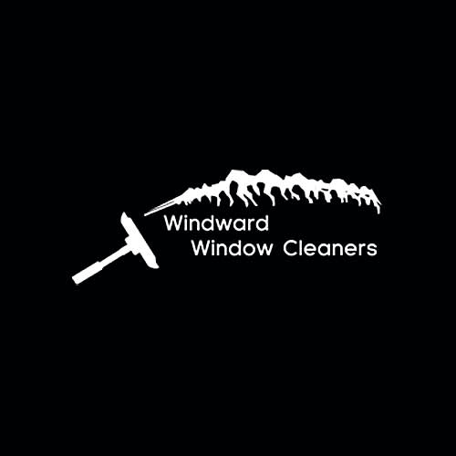 8 Best Honolulu Window Washing Companies Expertise