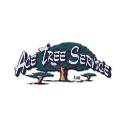 13 Best Kansas City Tree Service Professionals Expertise