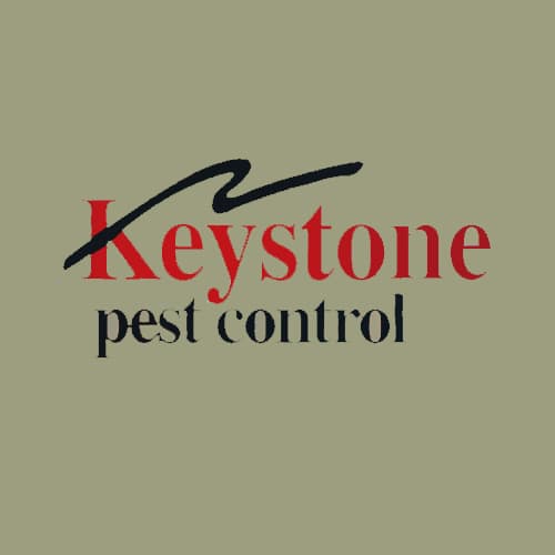 10 Best Hayward Pest Control Companies Expertise