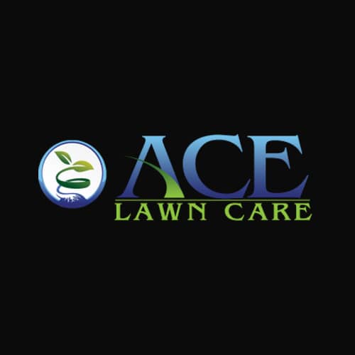 14 Best Knoxville Lawn Service Companies Expertise