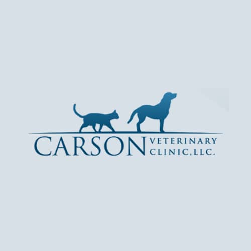 13 Best Lafayette Veterinarians Expertise