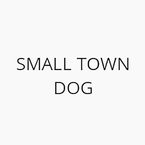 21 Best Las Vegas Dog Boarders Expertise Com