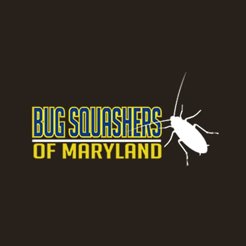 21 Best Baltimore Pest Control Companies Expertise Com