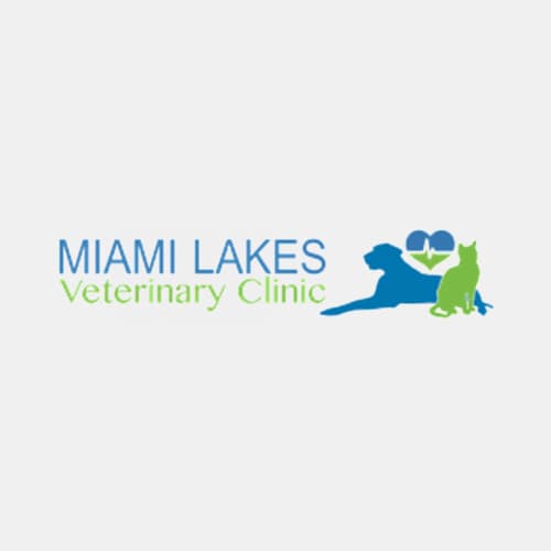 21 Best Miami Veterinarians Expertise