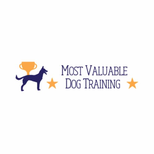 5 Best Cambridge Dog Training Classes Expertise Com