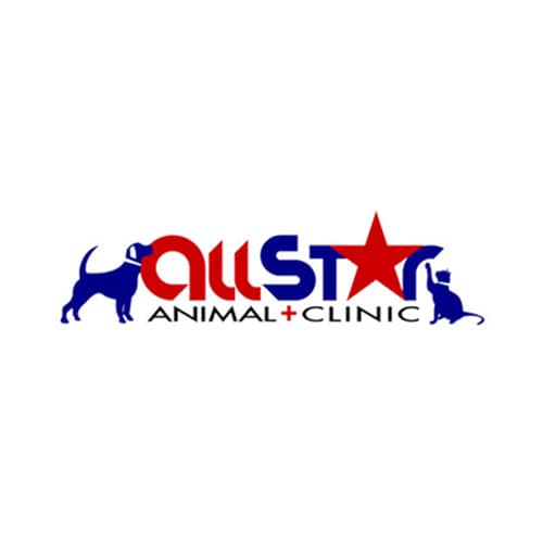 16 Best New Orleans Veterinarians Expertise