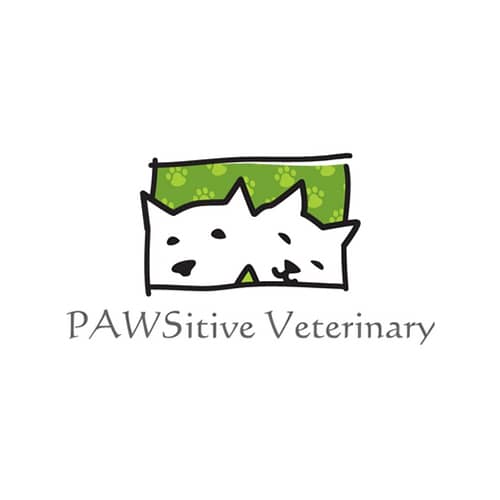 18 Best New York City Veterinarians Expertise