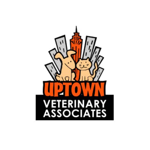 uptown veterinary clinic
