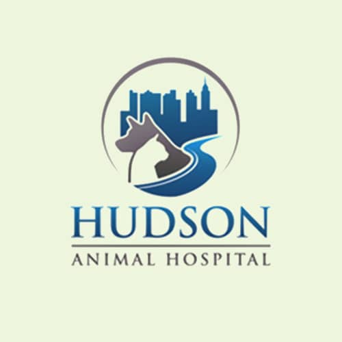 18 Best New York City Veterinarians Expertise
