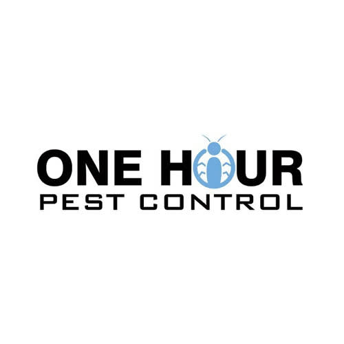 35 Best New York City Pest Control Companies Expertise Com