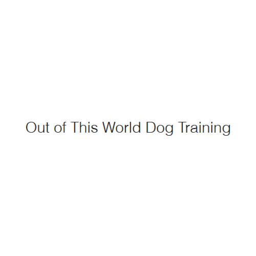 10 Best Columbus Dog Trainers Expertise