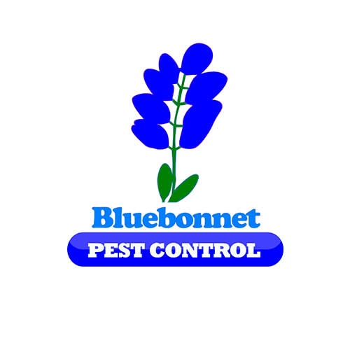 17 Best Grand Prairie Pest Control Companies Expertise Com