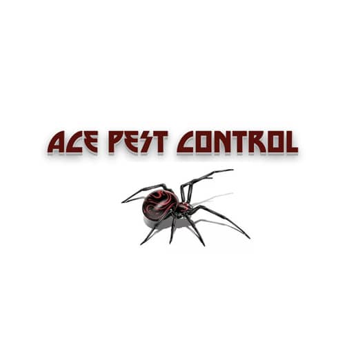 11 Best Olathe Pest Control Companies Expertise Com