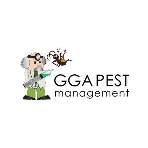 9 Best Killeen Pest Control Companies Expertise Com