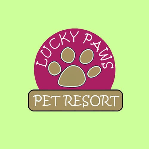 21 Best Pittsburgh Dog Groomers Expertise