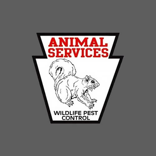 16 Best Pittsburgh Pest Control Companies Expertise Com