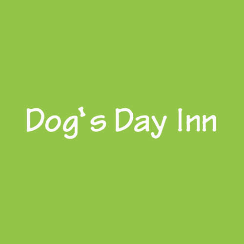 9 Best Richmond Dog Daycares Expertise