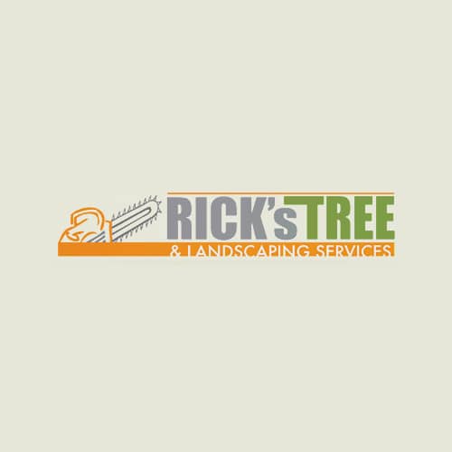 7 Best Boca Raton Tree Service Professionals Expertise