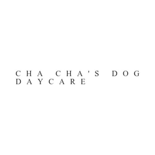 cha cha's dog daycare