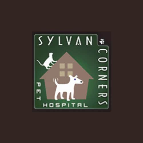 15 Best Sacramento Dog Boarders Expertise