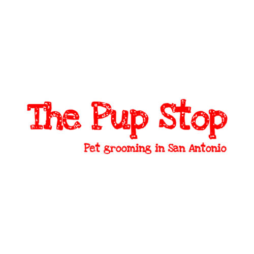 13 Best San Antonio Dog Groomers Expertise Com
