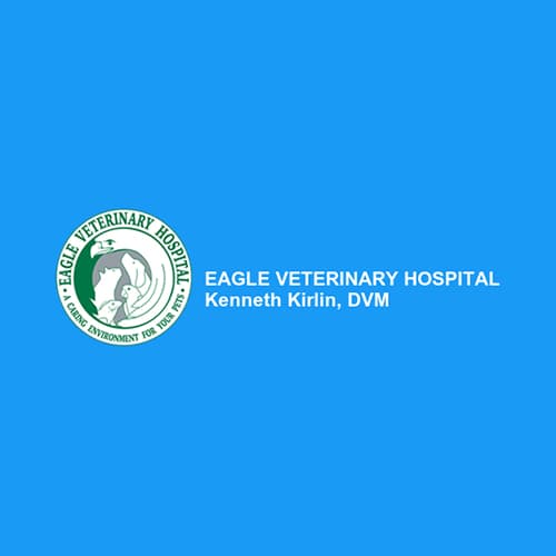 19 Best San Antonio Veterinarians Expertise