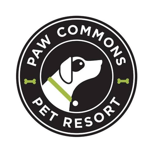 paw commons gilbert - home facebook on paw commons pet resort scottsdale