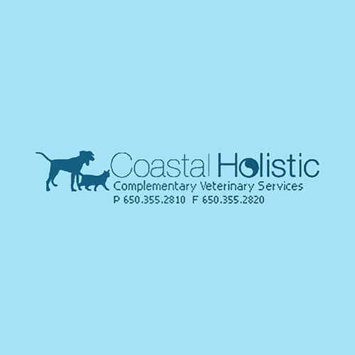 17 Best San Francisco Veterinarians Expertise