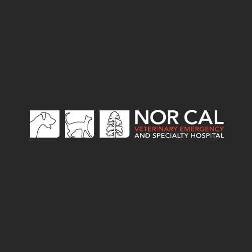 nor cal veterinary emergency and specialty hospital