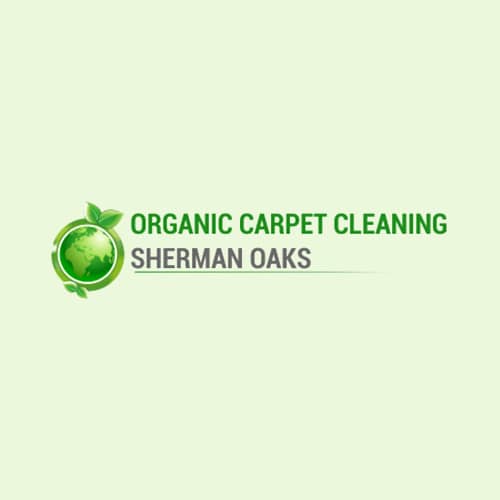 10 Best Beverly Hills Carpet Cleaners Expertise
