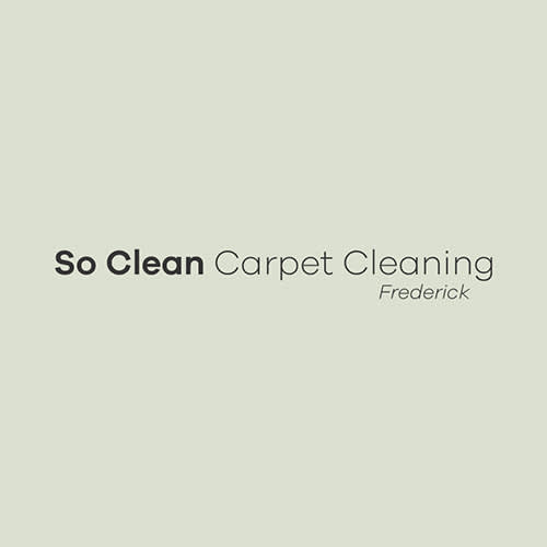 7 Best Frederick Carpet Cleaners Expertise