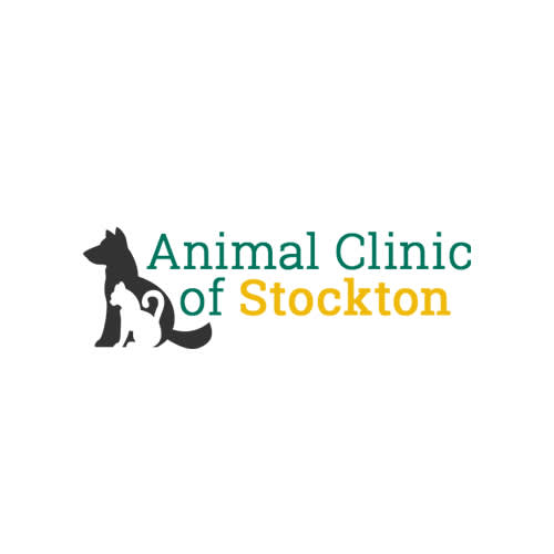 17 Best Stockton Veterinarians Expertise Com