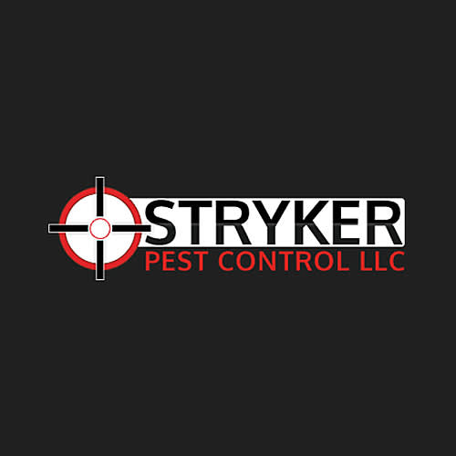 Rodent Control Hamden New Haven Ct Bugzout Pest And Termite Control Llc