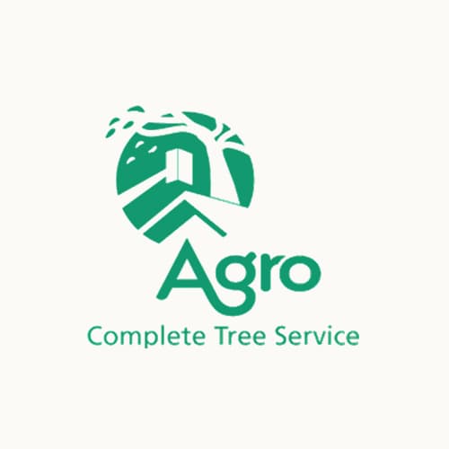 20 Best Tacoma Tree Service Professionals Expertise