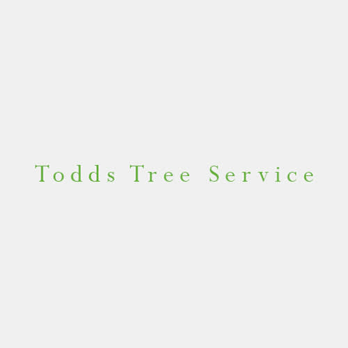 8 Best Manchester Tree Services Expertise Com
