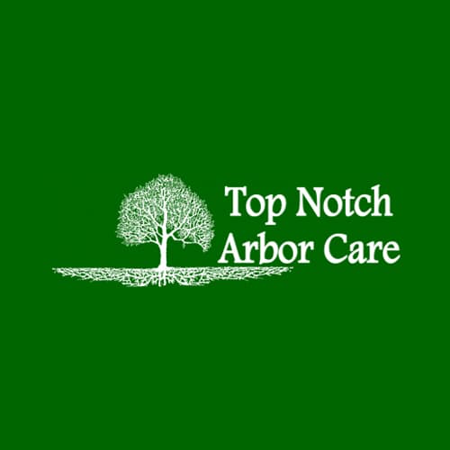 18 Best San Antonio Tree Services Expertise Com