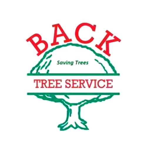 31 Best Cincinnati Tree Services Expertise Com