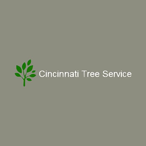 31 Best Cincinnati Tree Services Expertise Com