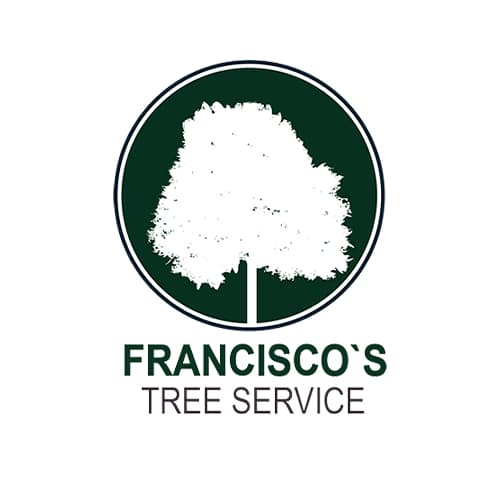 Expert Tree Trimming in Little Rock AR 72211Call us now!