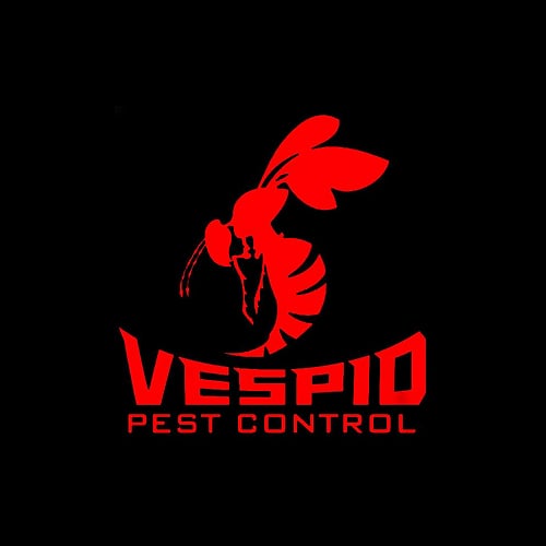 pest control san antonio