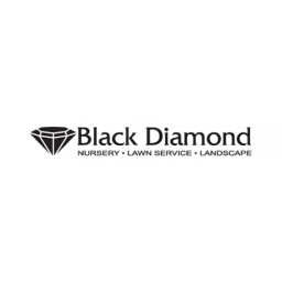 Black Diamond logo