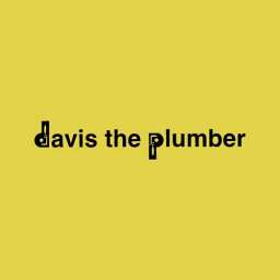 Davis the Plumber logo